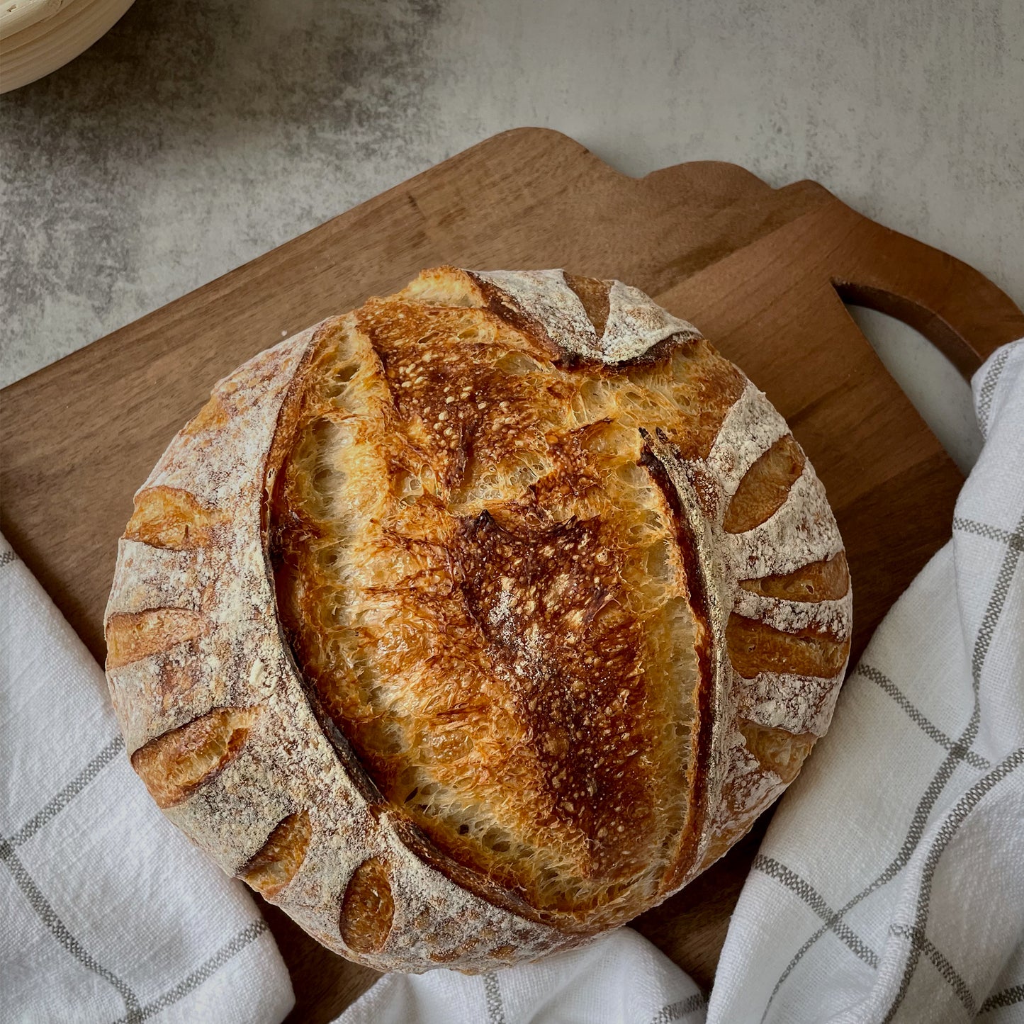 Bread Proofing Trio Set, 10 inch Round Banneton Basket, Bread Lame, Danish Whisk